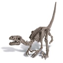 Dig a Dino Skeleton/Velociraptor 00-13234