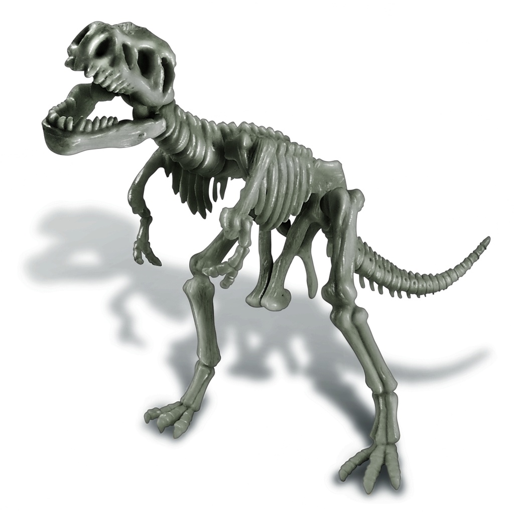 4M Dig A Trex 00-03221