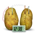 4M Green Science / Potato Clock 00-03275