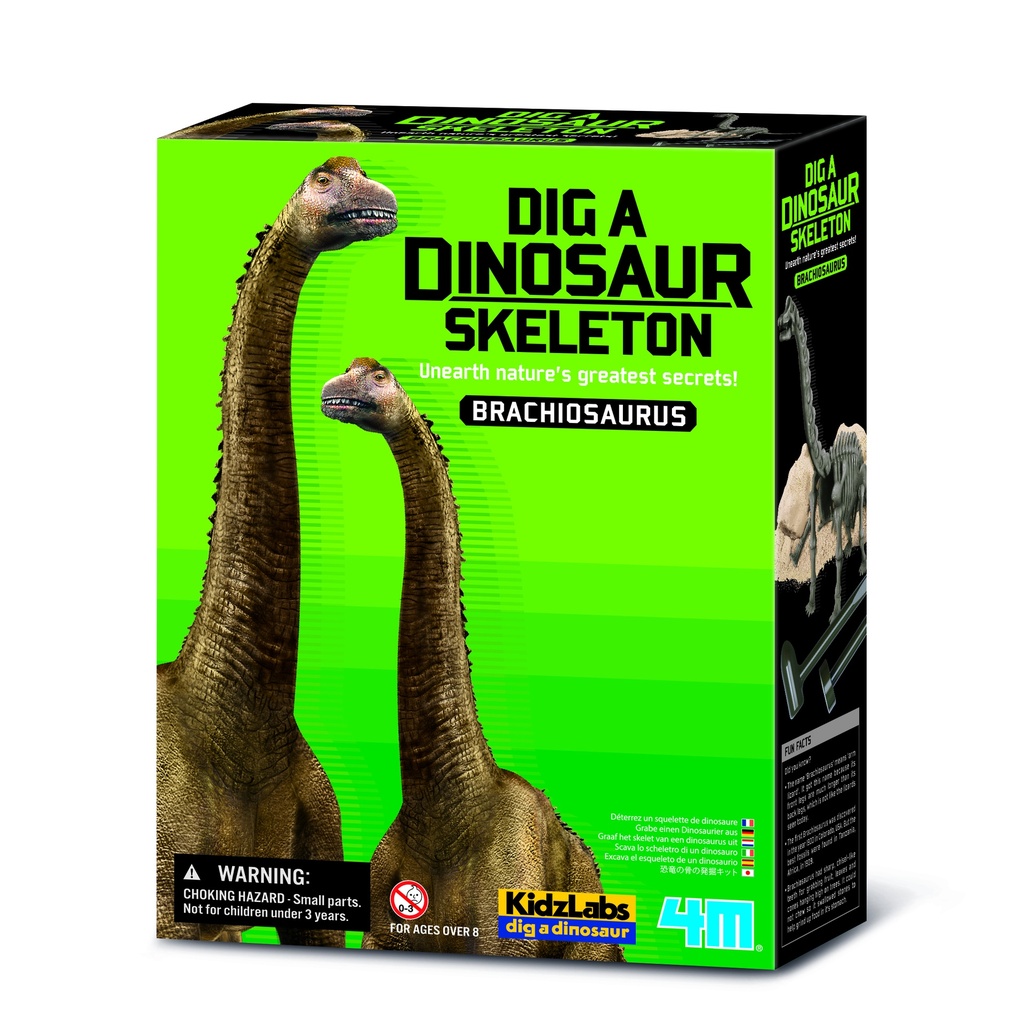 4M Dig a Dino Skeleton / Brachiosaurus 00-03237