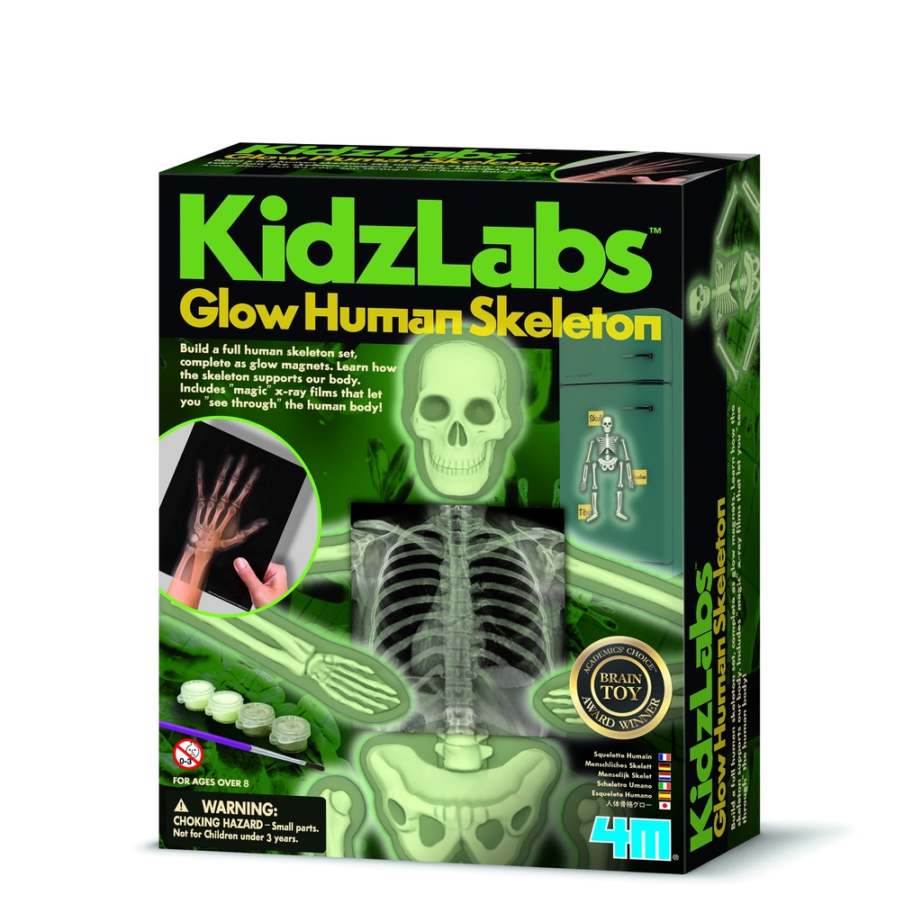 4M GLOW HUMAN SKELETON 00-03375