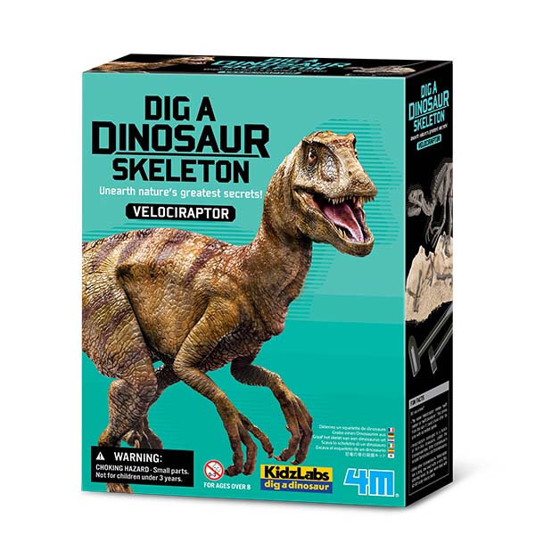4M Dig a Dino Skeleton/Velociraptor 00-13234